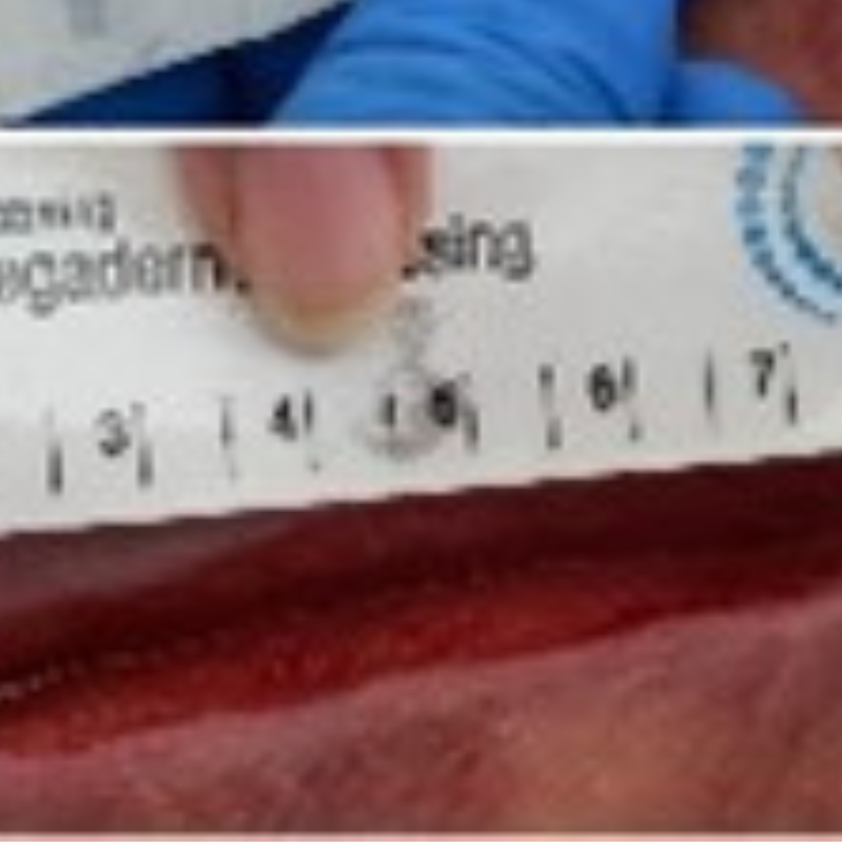 Sercom - Granulox (15)